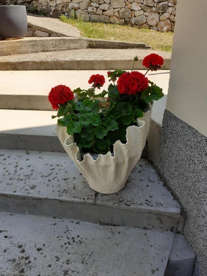 Apartman Danijela Zagorje Exterior photo
