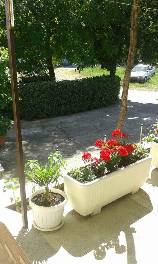 Apartman Danijela Zagorje Exterior photo