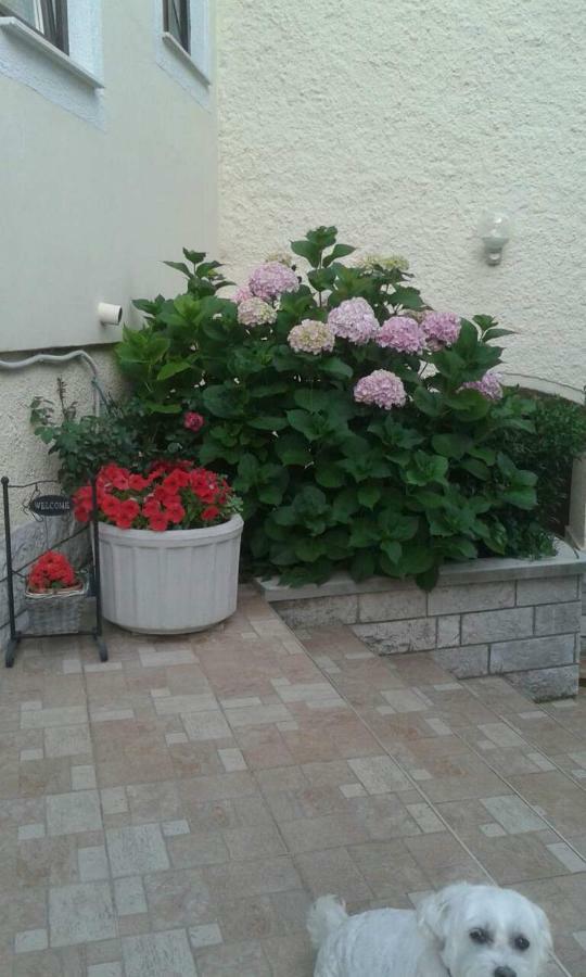 Apartman Danijela Zagorje Exterior photo